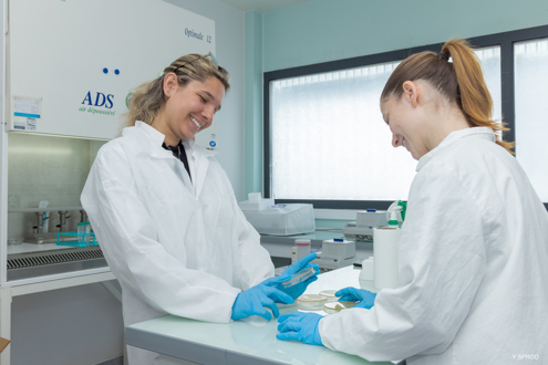 Offres d'emploi Chimiget