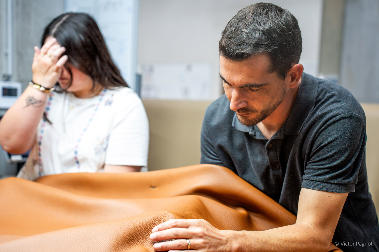 Groupe Tolomei emploi