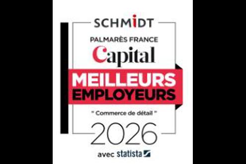 Schmidt emploi