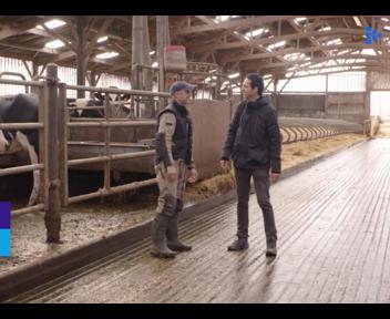 Conseiller commercial (H/F) - Vital Concept