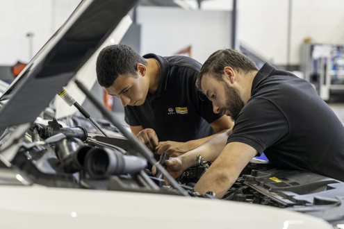 Groupe Dubreuil emploi