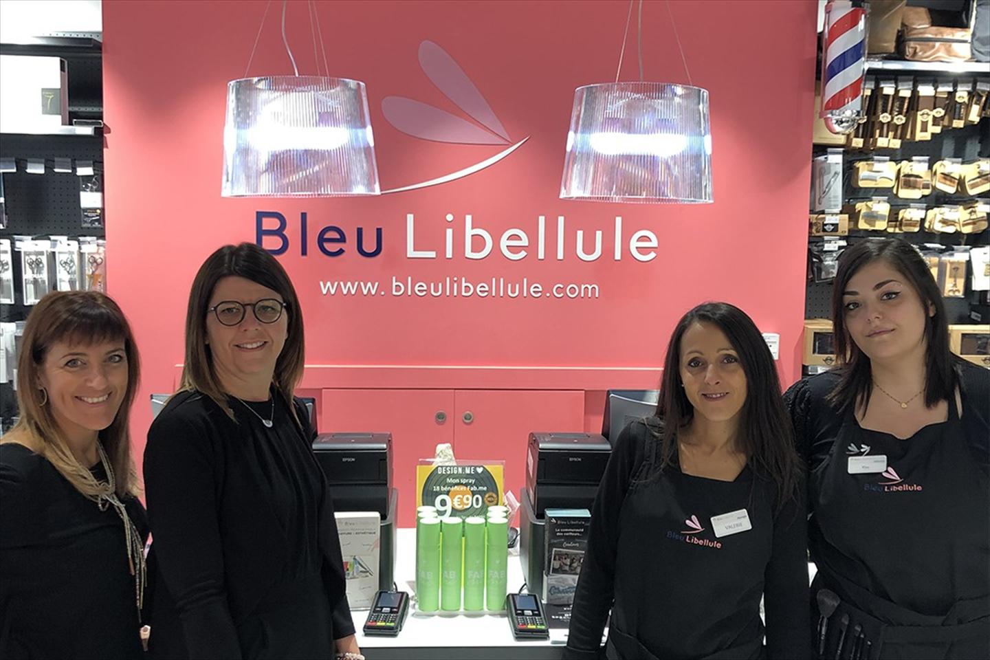 Bleu Libellule Recrutement Candidature Rapide Et Facile Pacajob