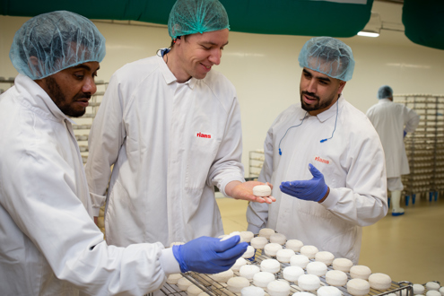 Groupe Triballat carrière