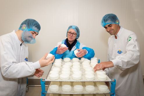 Groupe Triballat emploi