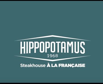 - HIPPOPOTAMUS -