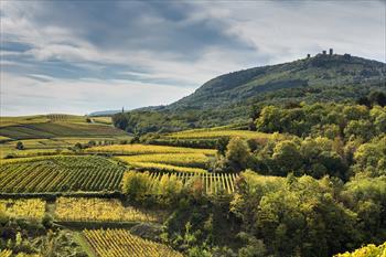 Les Grands Chais de France recrutement