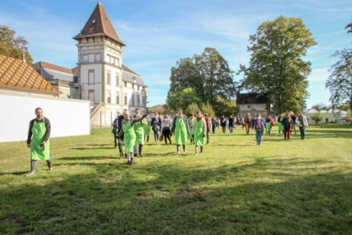 Fondation Georges Boissel Emploi