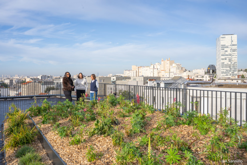 Est ensemble habitat Emploi
