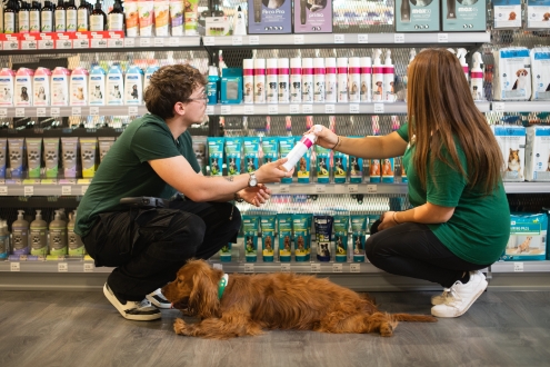 Maxi Zoo emploi