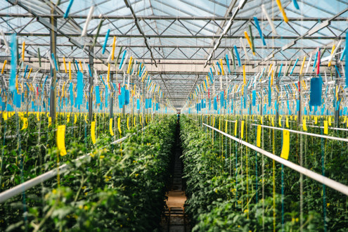 Le Jardin de Rabelais Emploi