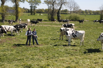 GENES DIFFUSION recrutement