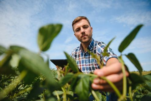 Martin Agro Emploi