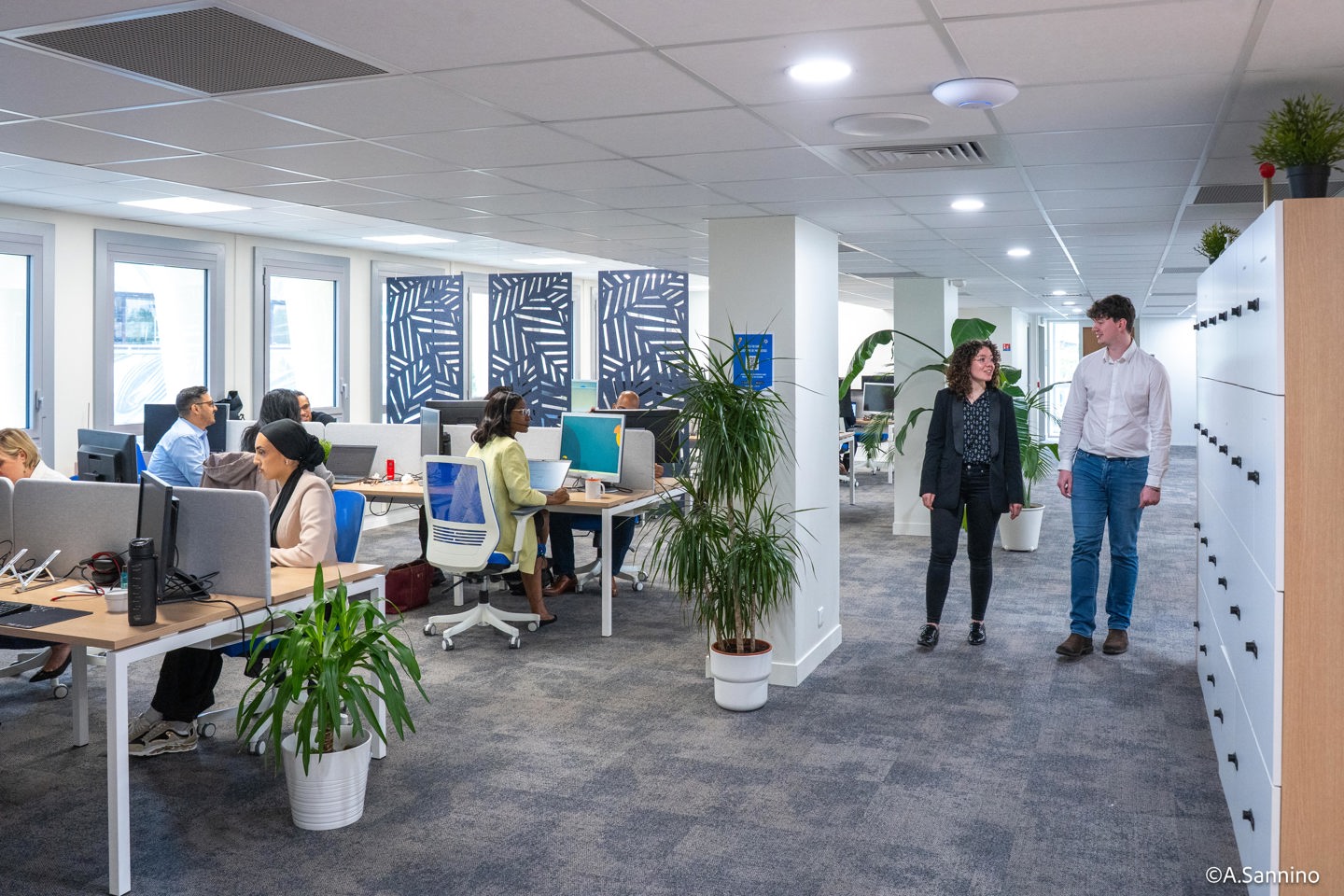 ADJUVOO emploi
