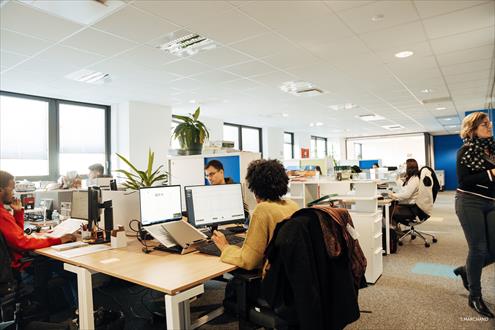 ALLIANCE GLOBAL PROCUREMENT carrière