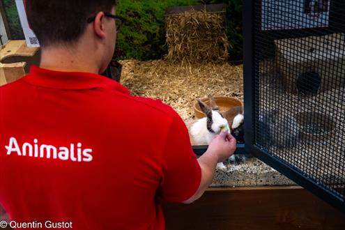 Animalis carrière