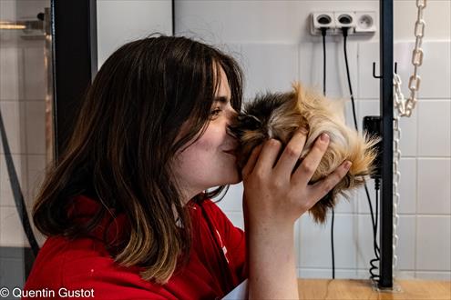 Animalis emploi