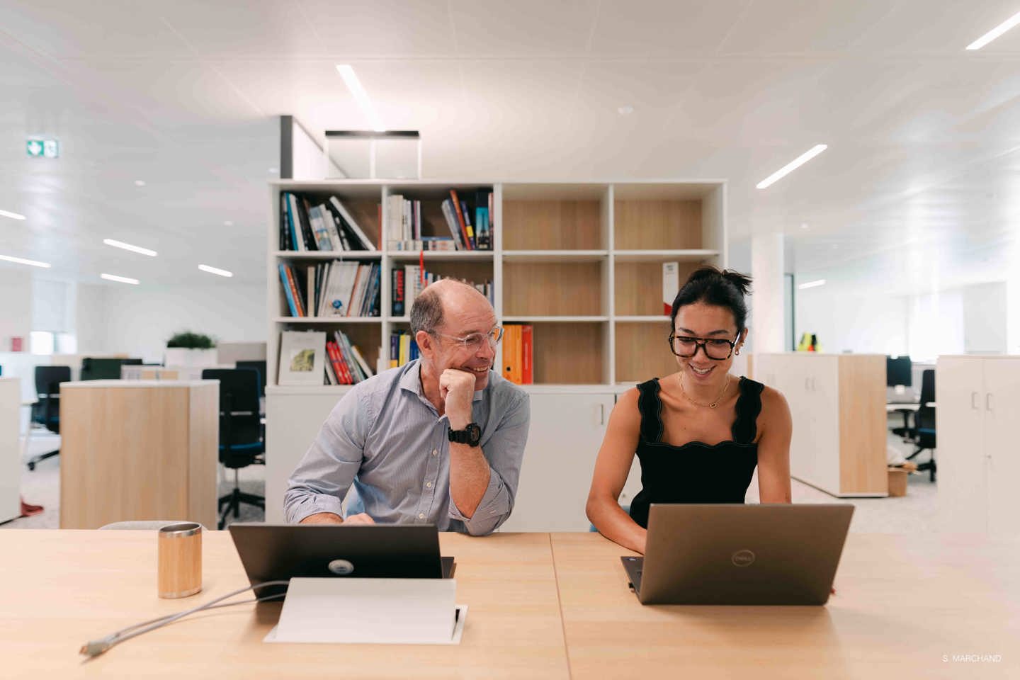 Artelia emploi