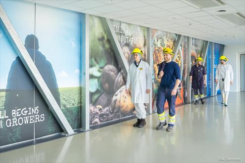 Aviko BE Emploi