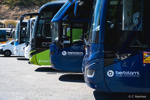 bertolami recrutement