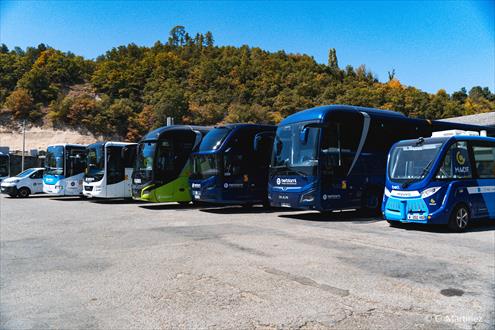 bertolami emploi