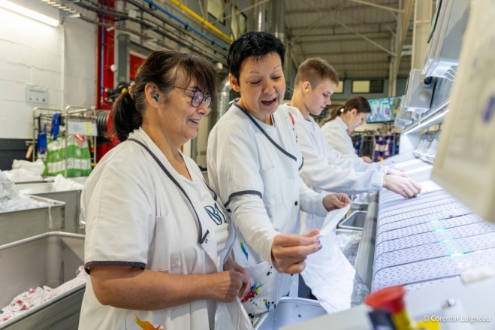 Blanchisserie du Maine recrutement