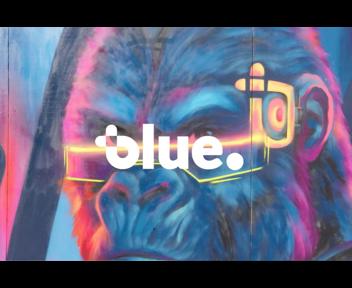 Blue Live 2025