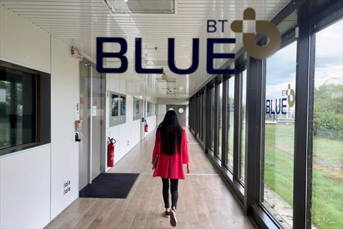 Blue emploi