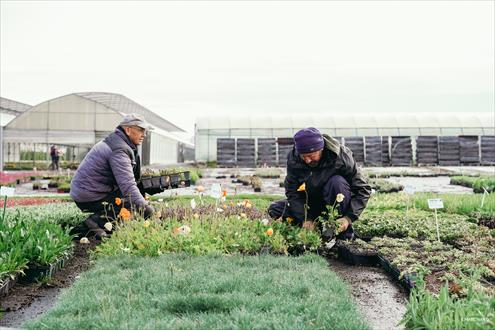 CERDYS Emploi