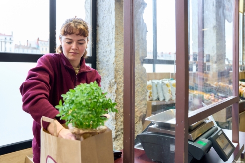 Postuler chez Cerise et Potiron