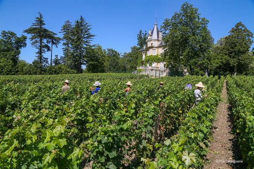 Château Les Carmes Haut-Brion emploi