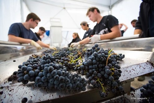 Château Les Carmes Haut-Brion recrutement