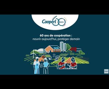 60 ans : une histoire à (re-)découvrir en vidéo