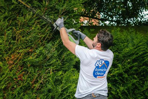 Domicile Clean emploi
