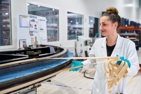 DUQUEINE Group emploi