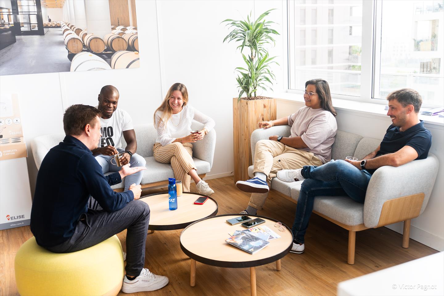 FAYAT GROUPE emploi