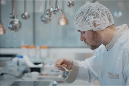 Foodiz Groupe Emploi