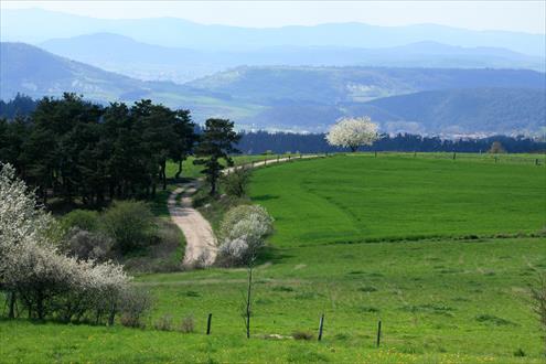 GROUPE COOPERATIF SICAREV carrière
