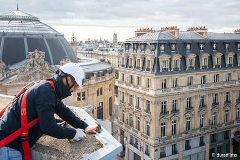 GROUPE FARENEIT emploi