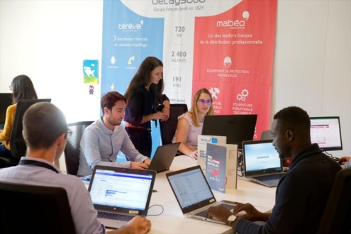 Groupe Martin Belaysoud emploi
