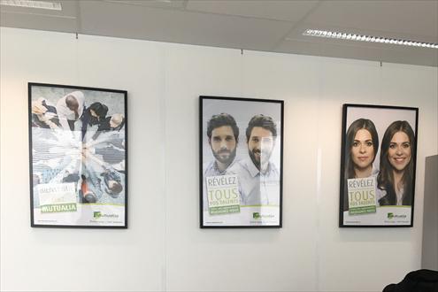 Groupe Mutualia Emploi