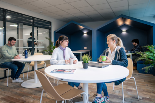 Groupe SII emploi