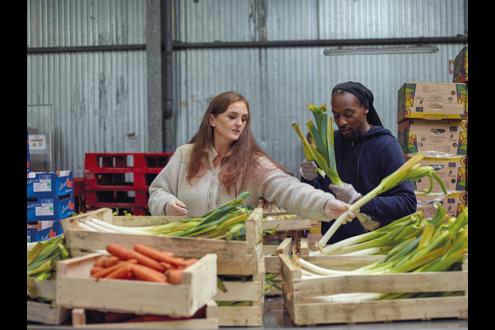 Groupe SOS emploi