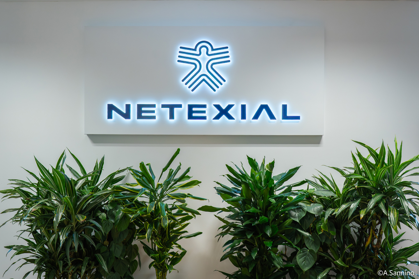 Netexial emploi