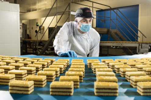 Jacquet-Brossard - Groupe Limagrain emploi