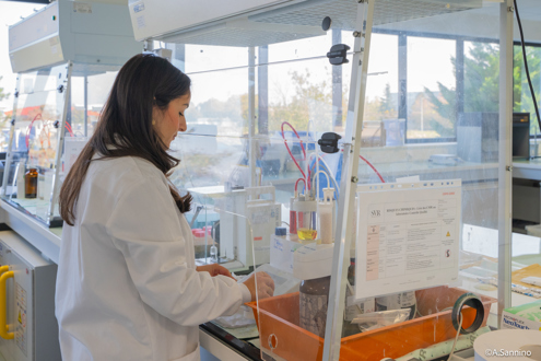 Laboratoire SVR carrière