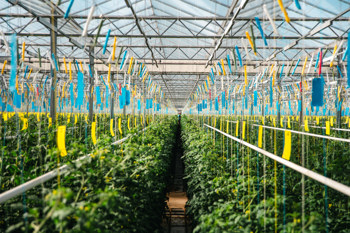 Le Jardin de Rabelais recrutement