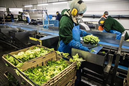 Offres d'emploi Les crudettes