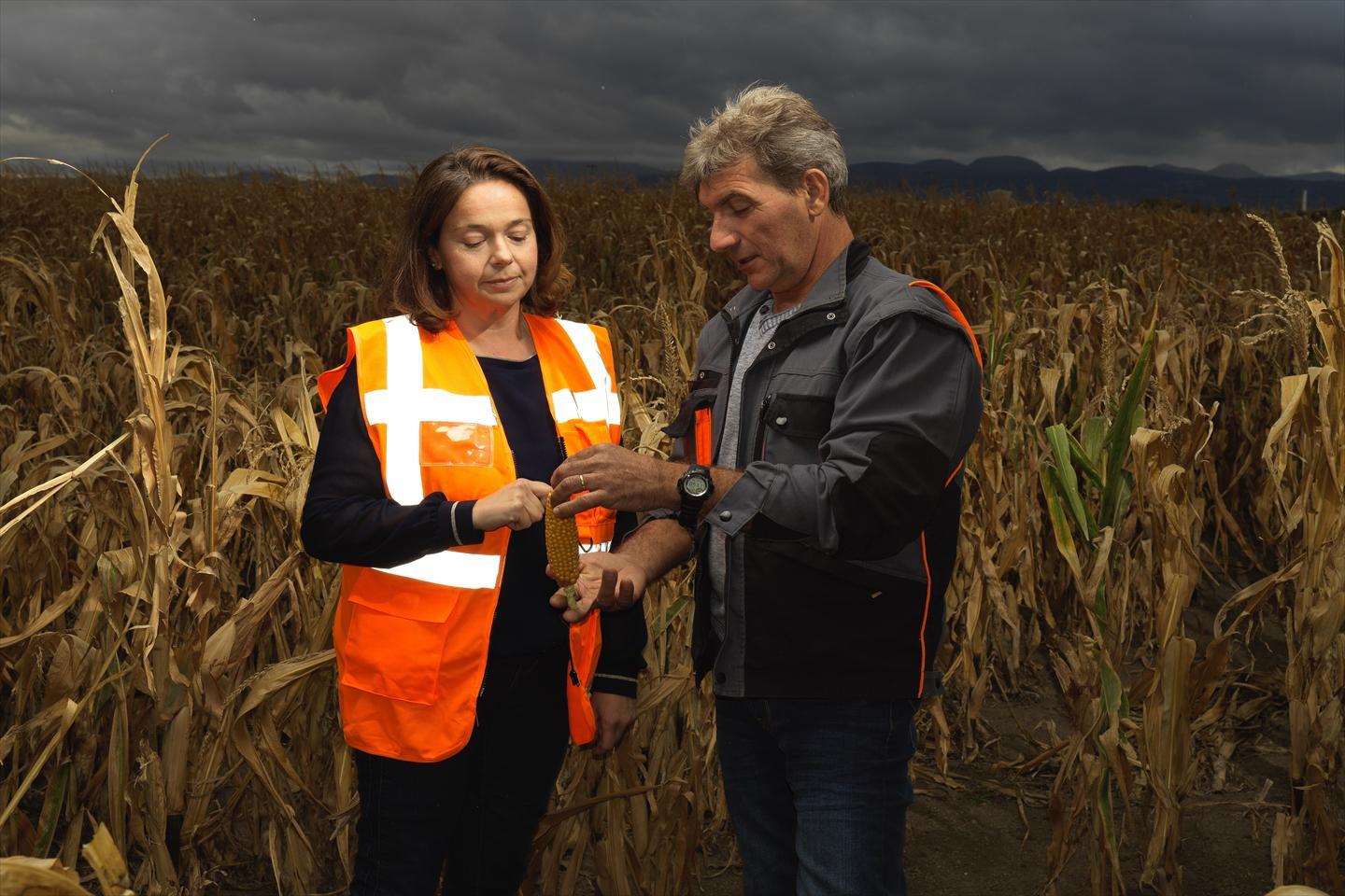 Limagrain Coop emploi