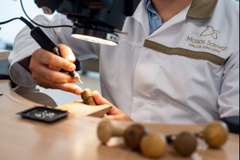 Maison Sauvat & Cie recrutement