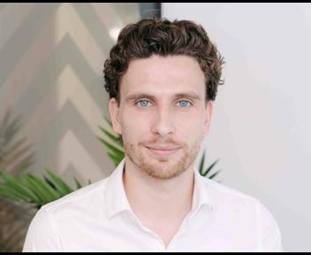 Ulysse, Consultant